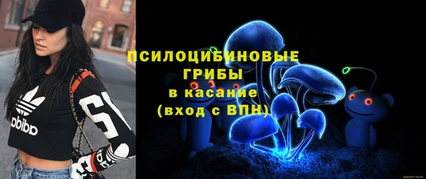 МДПВ Бронницы