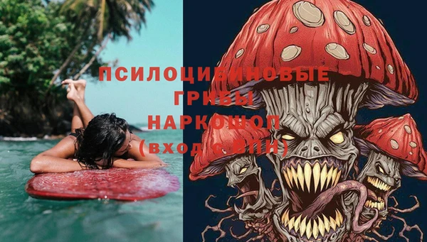 тгк Богданович
