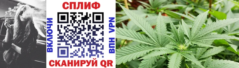 Шишки марихуана семена  Высоковск 